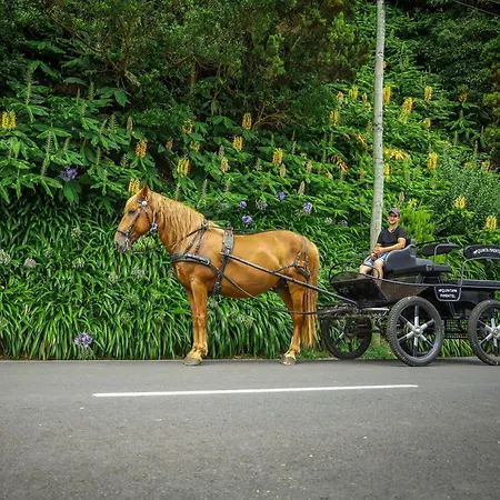Beleza Da Fazenda * Nordeste (Azores)